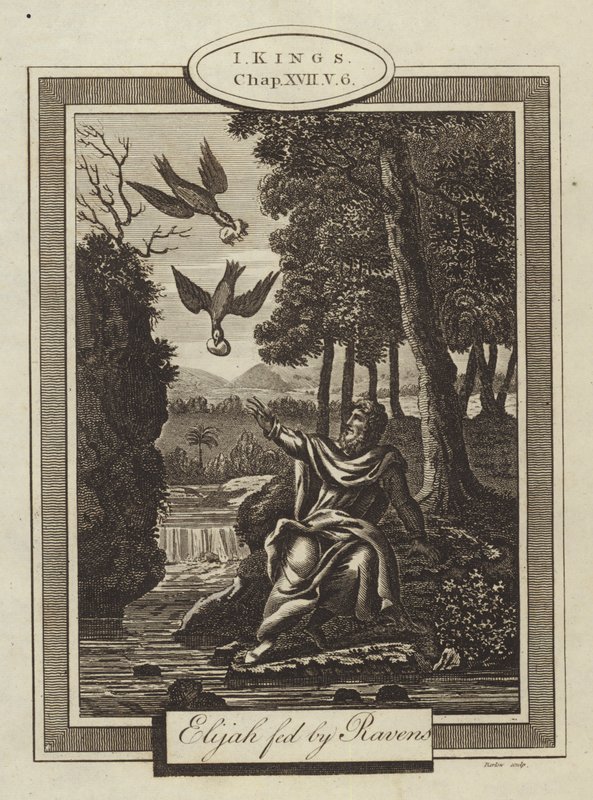 Kuzgunlar tarafından beslenen İlyas, I Kings, Chapter XVII, Verse 6 (gravür) by English School