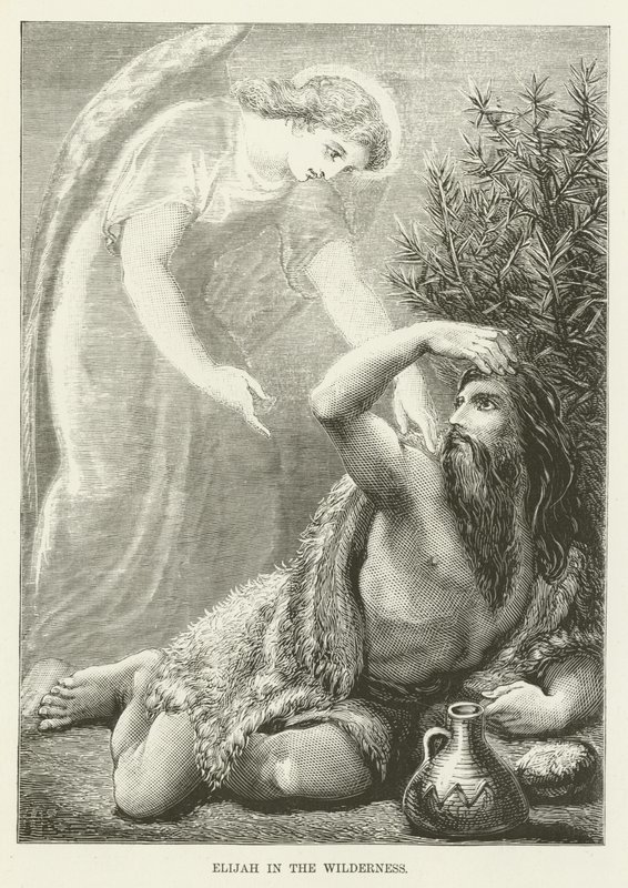 İlyas vahşi doğada by English School