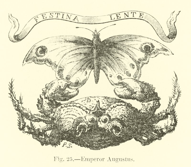 İmparator Augustus by English School