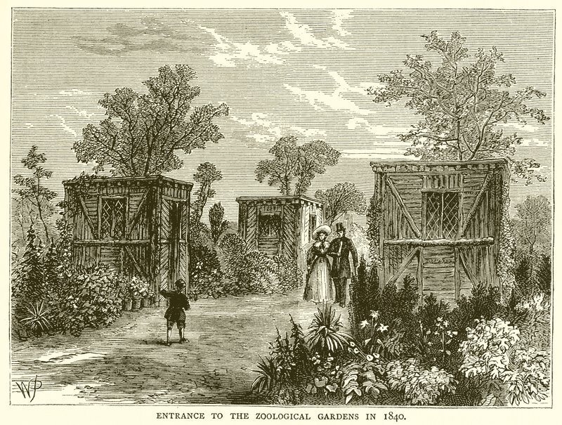 1840 yılında Hayvanat Bahçeleri