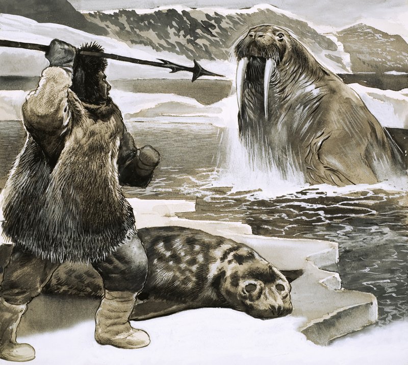 Eskimo mors