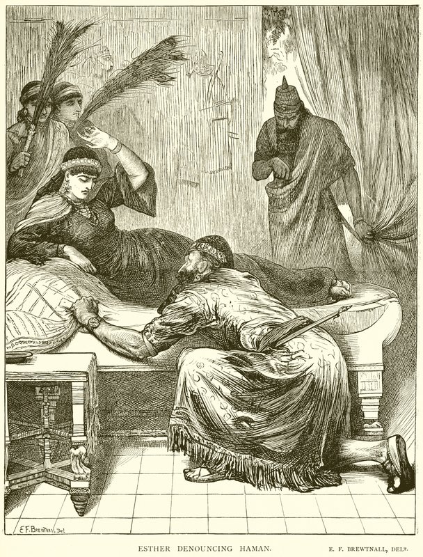 Ester, Haman