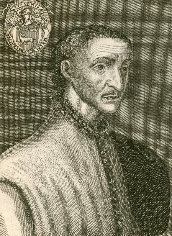 Estienne Şövalyesi by English School