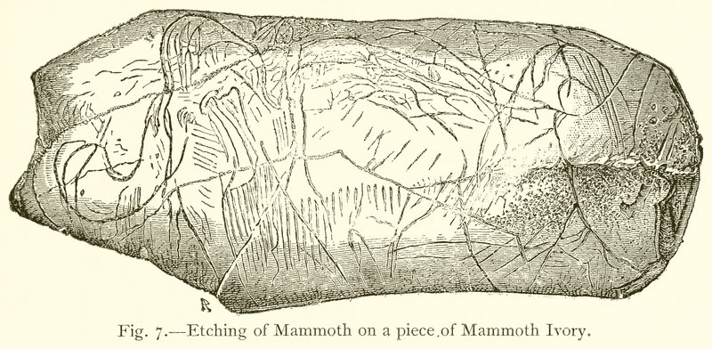 Bir Mamut Fildişi Parçası Üzerine Mamut Gravür by English School