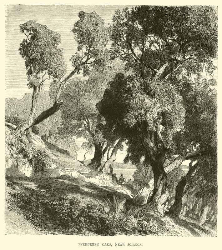 Sciacca yakınında Evergreen Oaks by English School