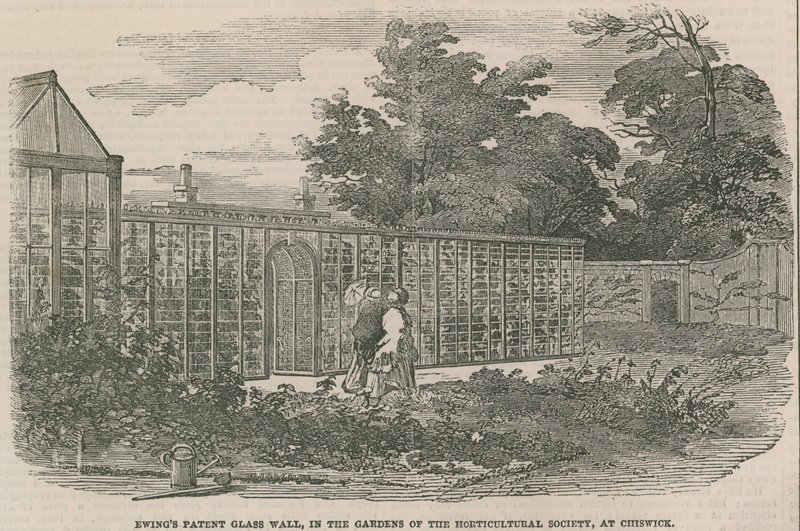 Ewings Patent Cam Duvar, Chiswick