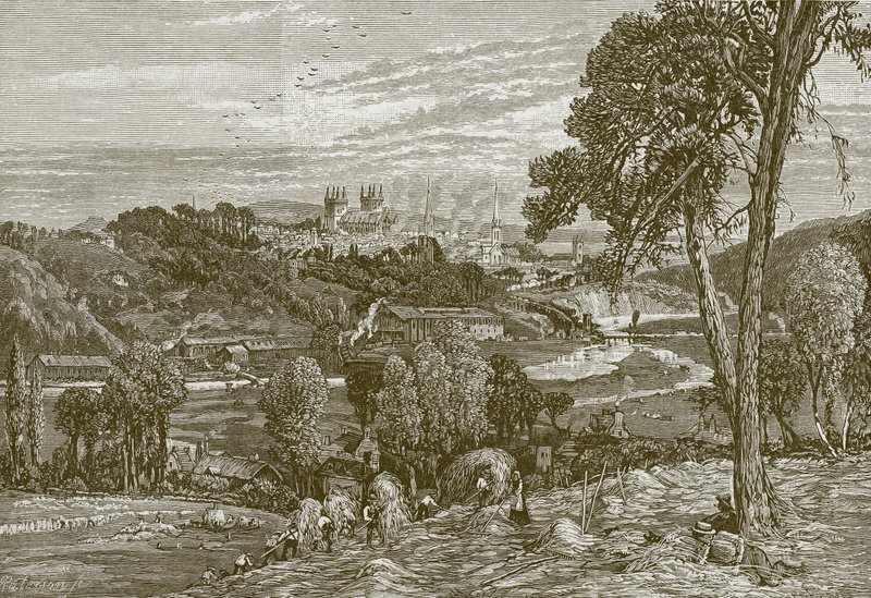 Exwick Fields