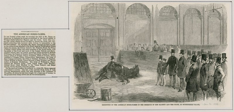 Amerikan at terbiyecisi tarafından Majesteleri ve Mahkeme huzurunda Buckingham Sarayı
