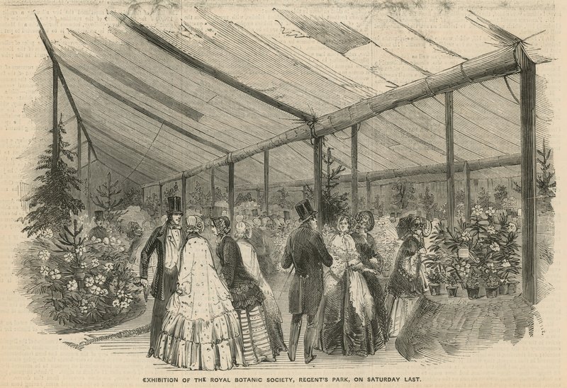 Kraliyet Botanik Derneği Sergisi by English School