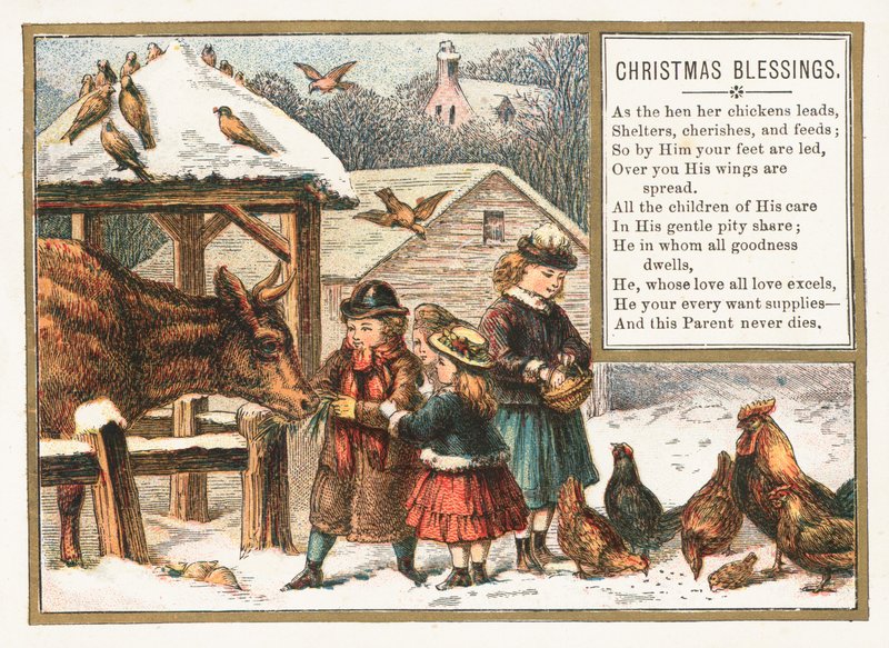 Karda hayvanları beslemek, Noel Kartı by English School