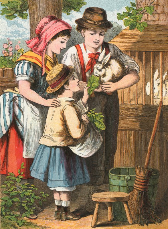 tavşan beslemek by English School