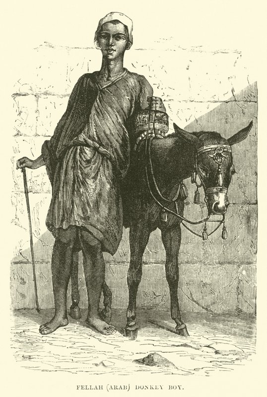 Fellah, Arap; eşek çocuk by English School