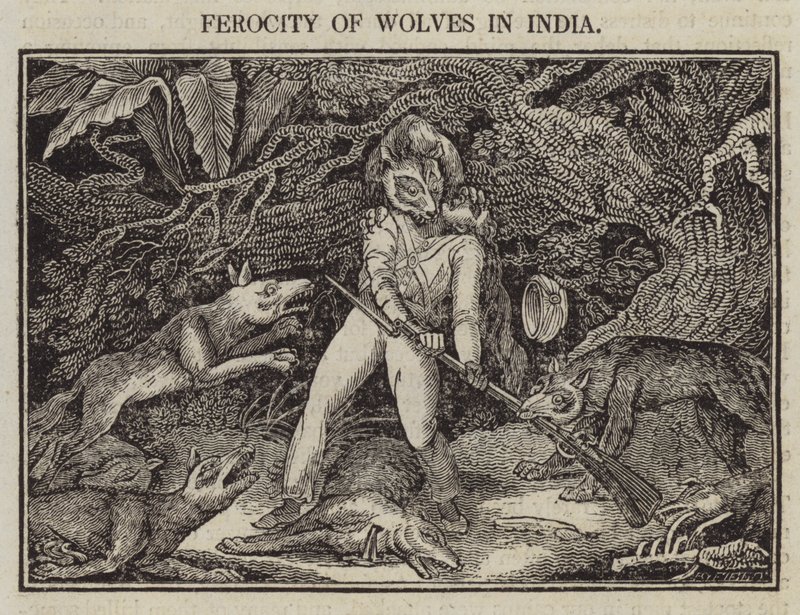 Hindistan