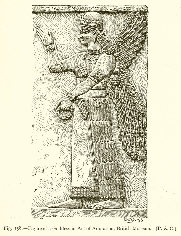 Hayranlık Yasası