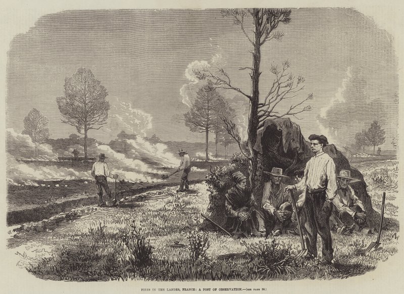Landes, Fransa