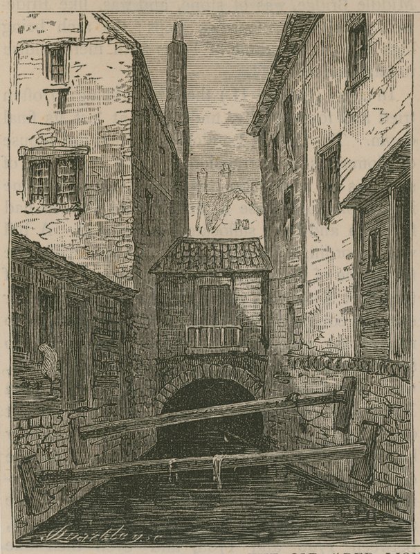 Filo Çukuru by English School