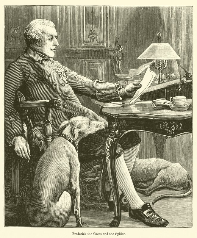 Büyük Frederick ve Örümcek by English School