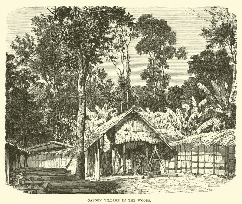 Ormanda Gaboon Köyü by English School