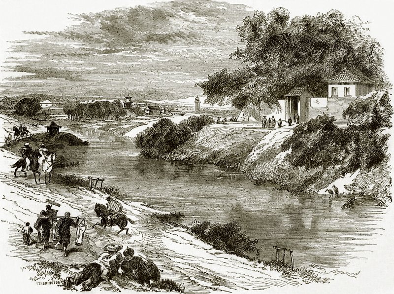 Yeddo
