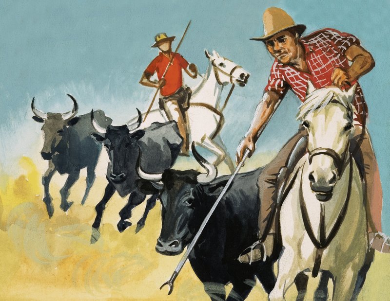 Camargue Gardiyanları by English School