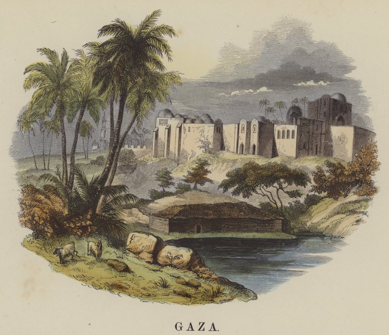 Gazze (renkli gravür) by English School