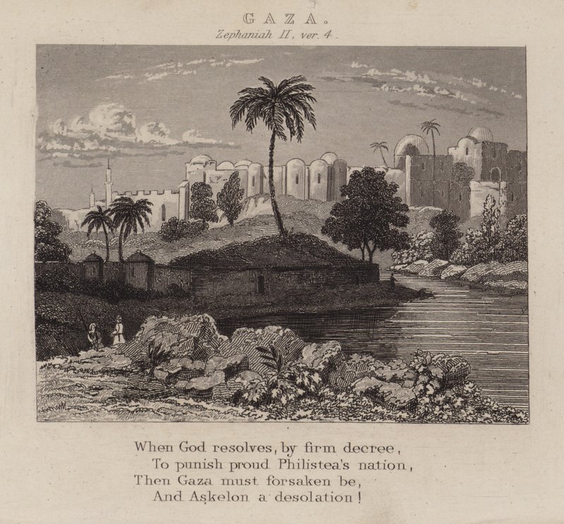 Gazze, Zephaniah II, ver 4 (gravür) by English School