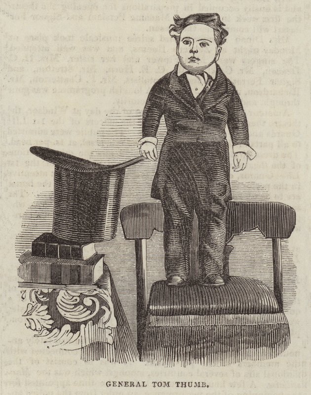 General Tom Thumb (gravür) by English School