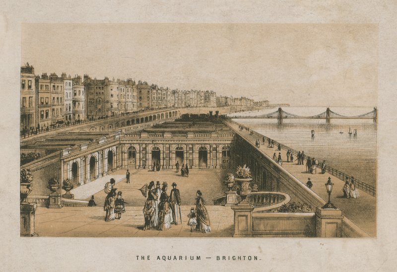 Brighton