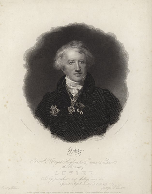 Georges küpü by English School