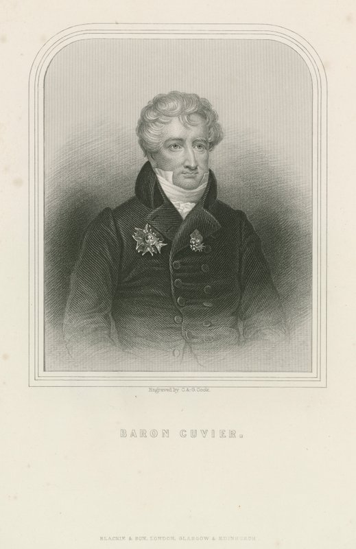Georges Cuvier, Fransız doğa bilimci ve zoolog (gravür) by English School