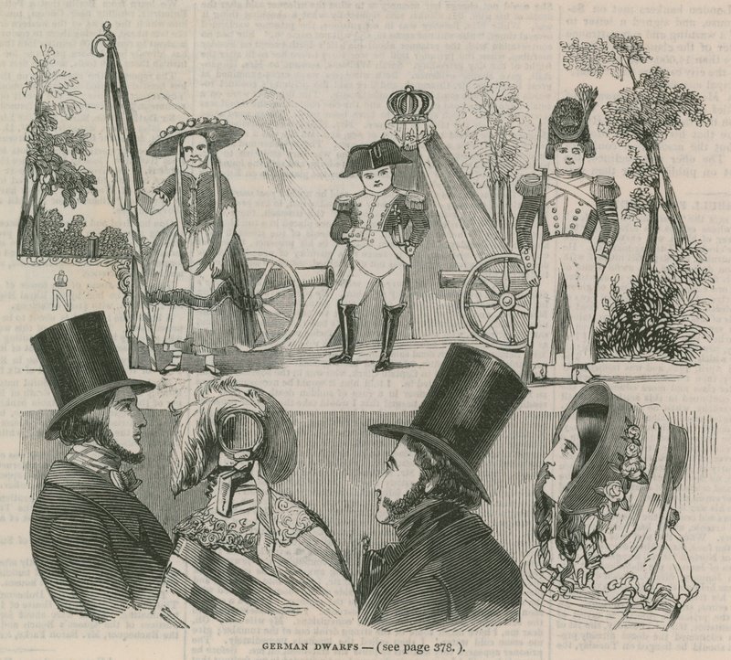 Alman cüceler by English School