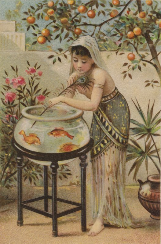 Tavus kuşu tüyüyle Japon balığıyla alay eden kız (ipek üzerine renkli baskı) by English School
