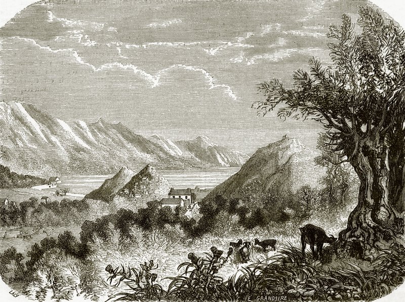 Bahçe by English School