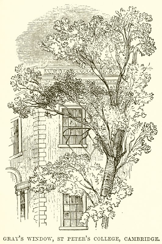 Griler Penceresi, St Peters Koleji, Cambridge by English School