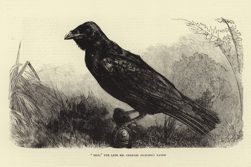 Kavrama, Geç Charles Dickens Raven by English School