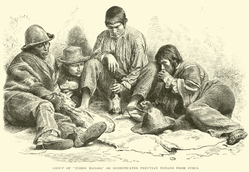 Indios Mansos Grubu veya Cuzco