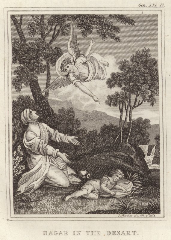 Çölde Hacer by English School