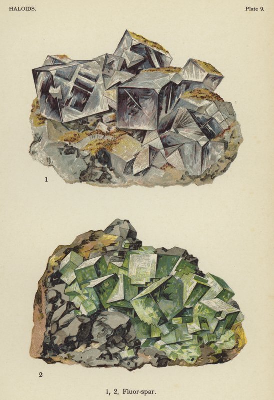 Haloidler, fluor-spar (renkli taş) by English School