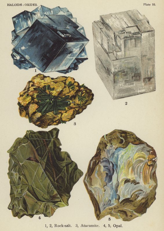Haloidler, oksitler, kaya tuzu, atakamit, opal (renkli lito) by English School