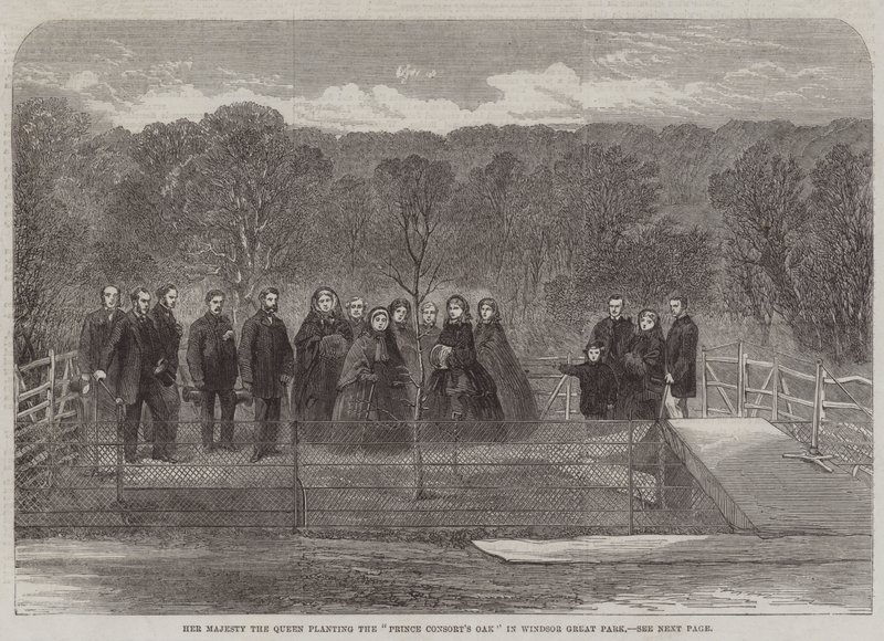 Majesteleri Kraliçe, Windsor Great Park