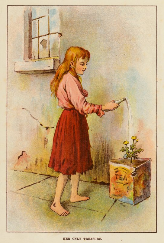 Onun Tek Hazinesi (renkli taş) by English School