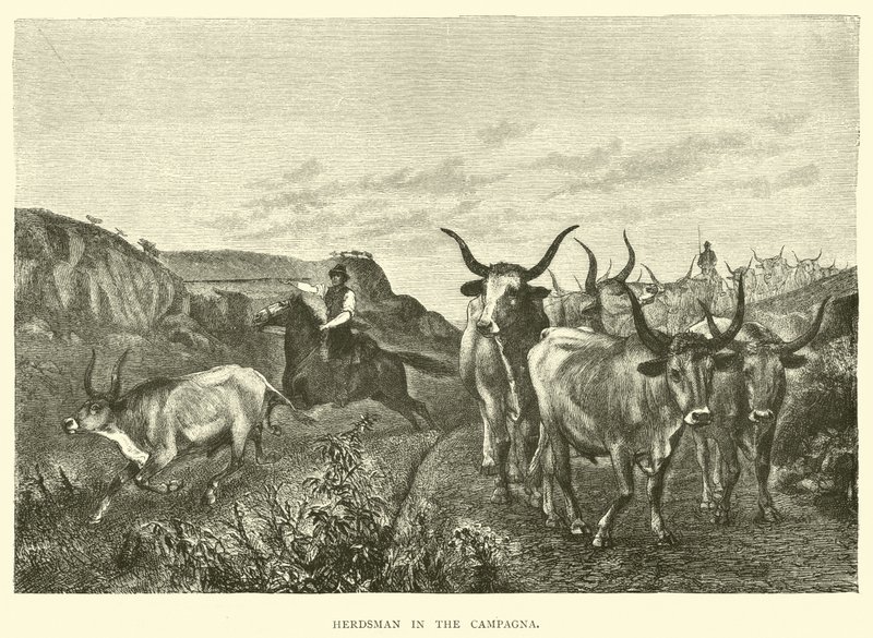 Campagna