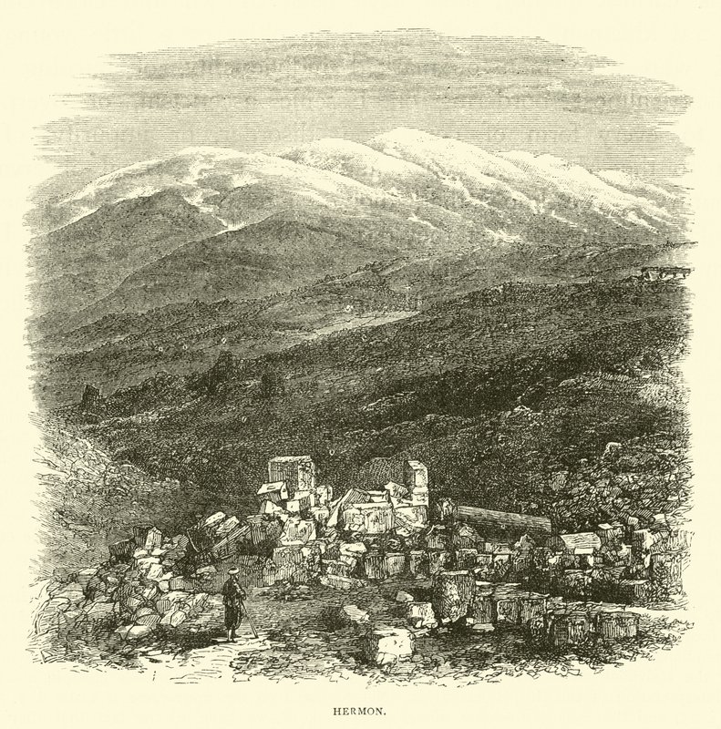 balıkçıl by English School