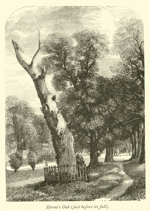 Hernes Oak, düşmeden hemen önce by English School