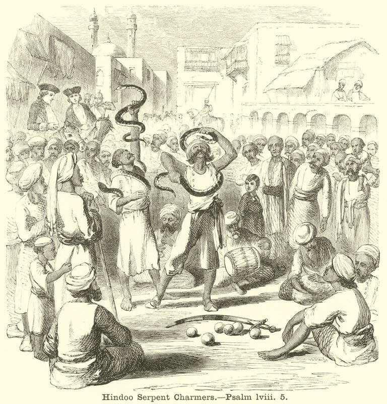 Hindoo Yılan Büyücüleri, Mezmur, lviii, 5 by English School