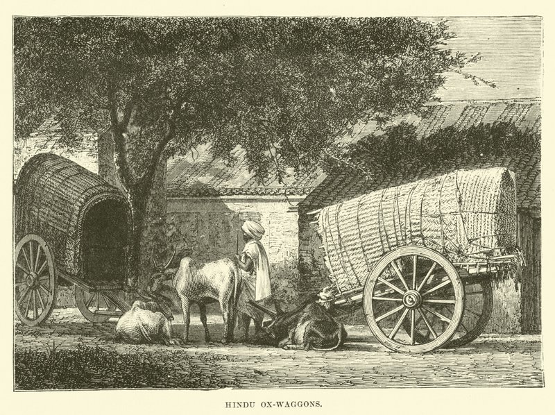 Hindu Öküz vagonları by English School