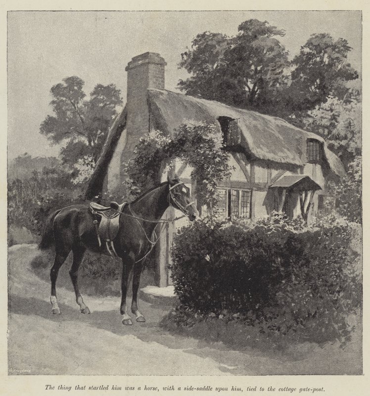 İyi Perisi, Mary Elizabeth Braddon tarafından (gravür) by English School
