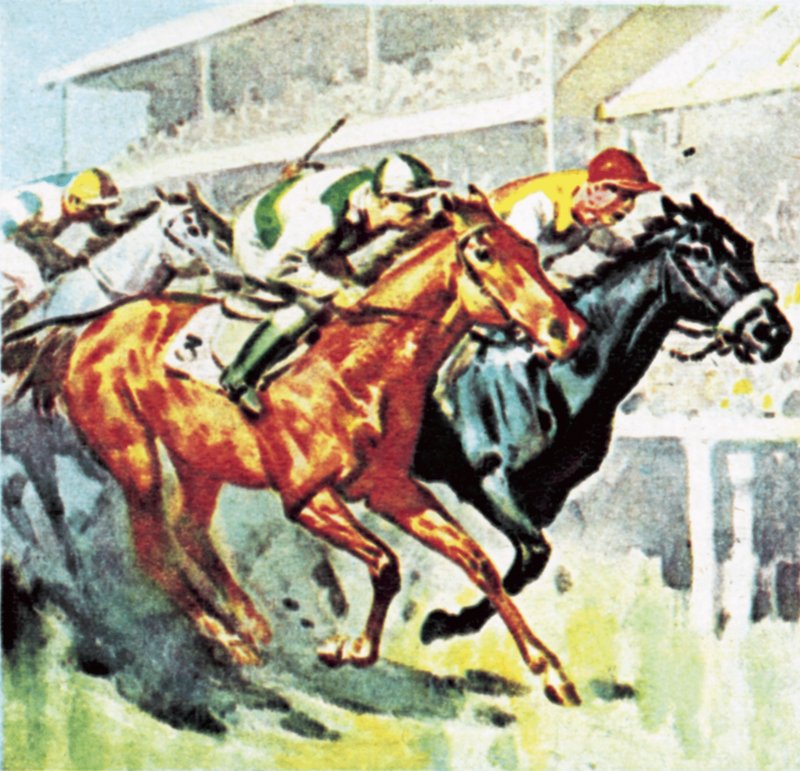 At yarışı by English School