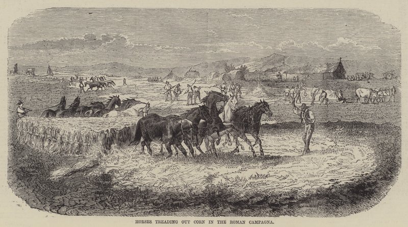Roma Campagna