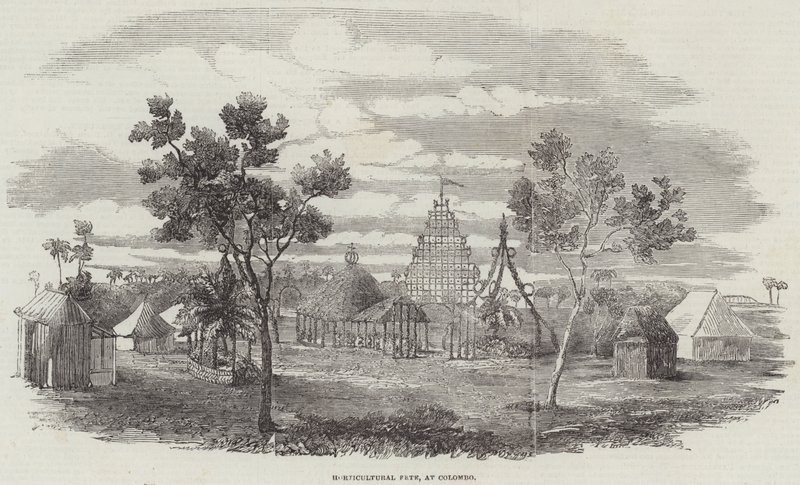 Bahçıvanlık Fete, Colombo